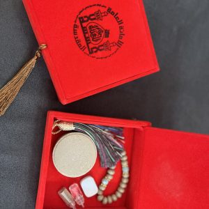 پک ویژه حرم امام حسین ع